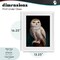 Stupell Industries Snowy Owl King Framed Print Under Glass, design by Lucia Heffernan